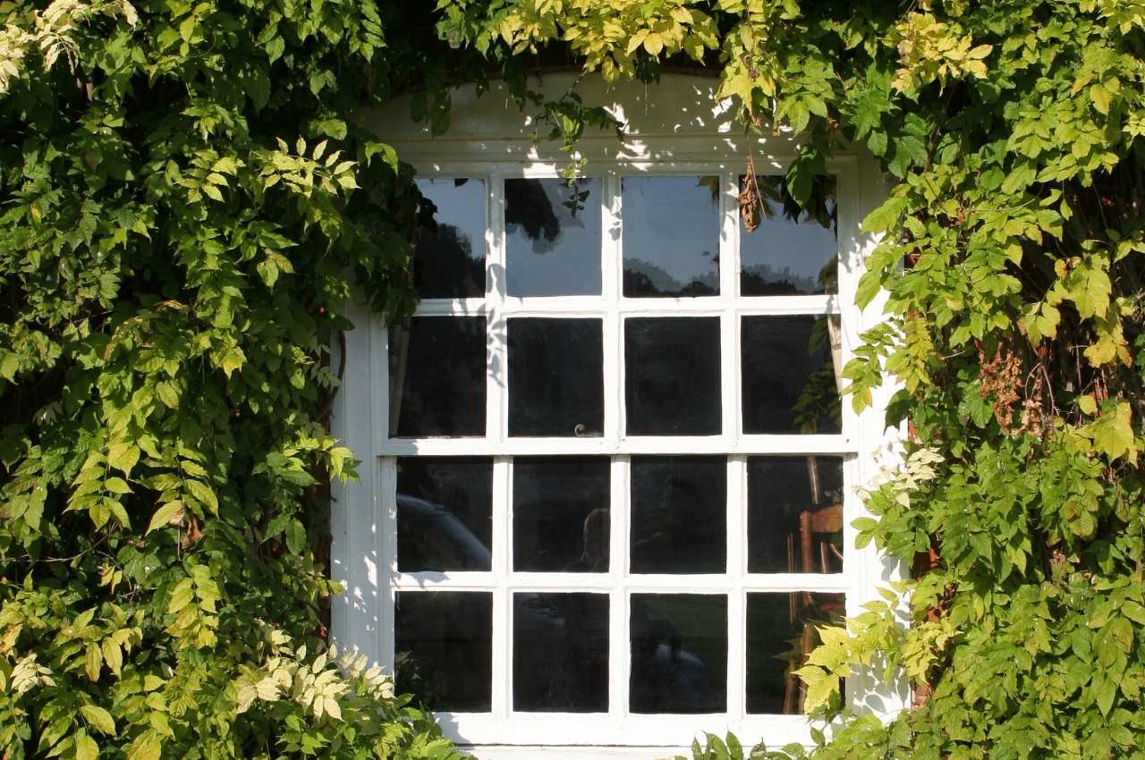 How to repair double-hung sash windows 8 scaffold tower to work safely repairing double-hung sash windows